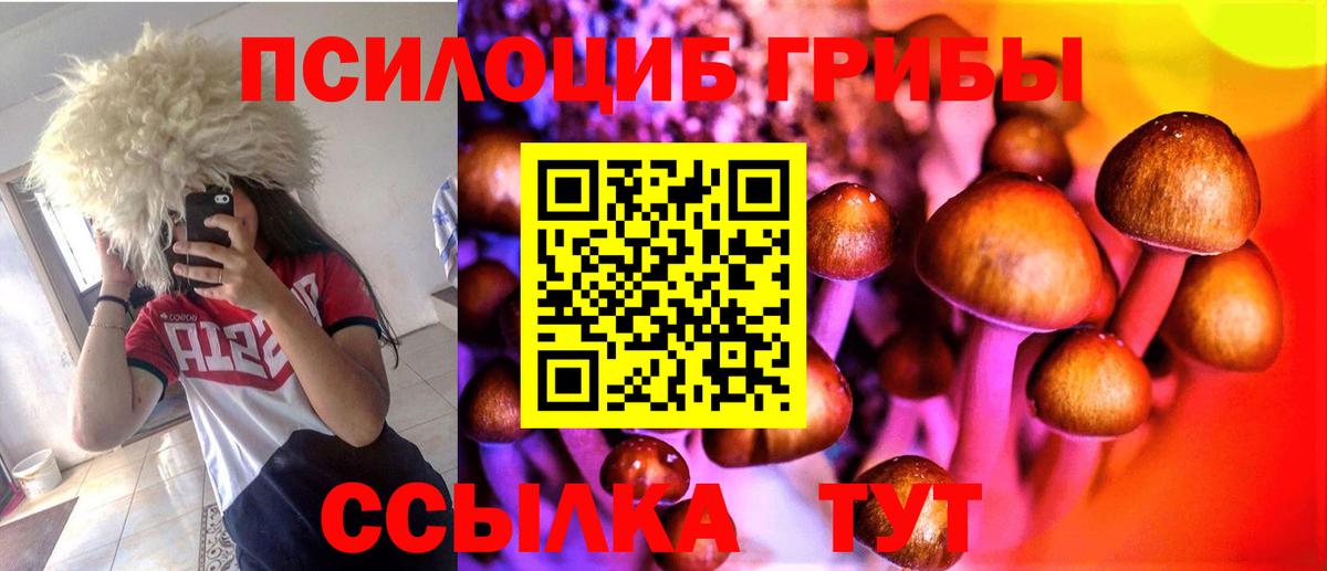 Псилоцибиновые грибы Psilocybine cubensis Воскресенск